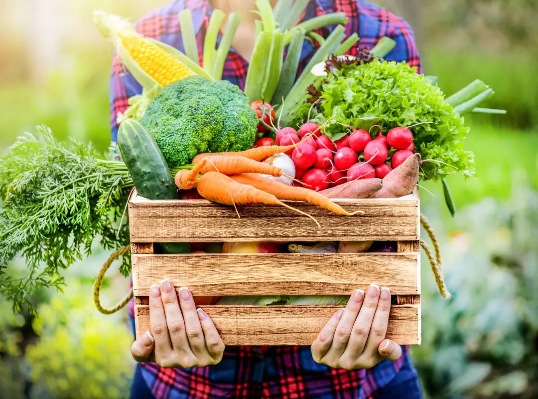 A person holding a crate of vegetables in their hands.