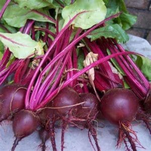 Fresh beetroots with vibrant green leaves.