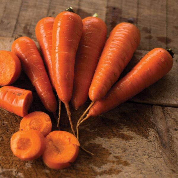 Heirloom Carrots (Chantenay) 16oz bag